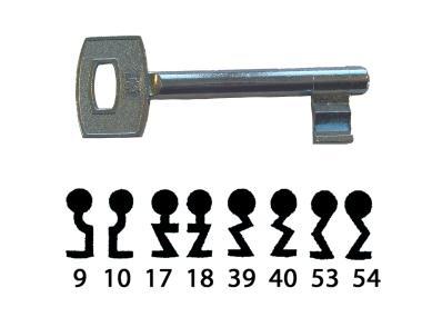 Kulcs 3391 Lővér  3