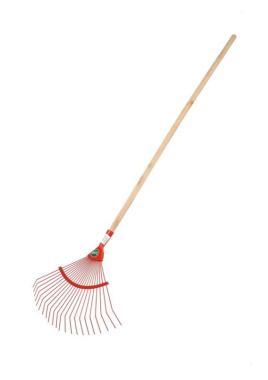 Lombseprű Cortex pálcás NYELEZVE