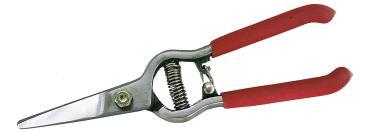 Szüretelő olló Muta 20cm kovácsolt