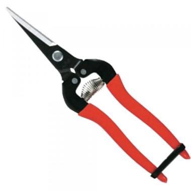 Szüretelő olló Muta 19cm egyenes